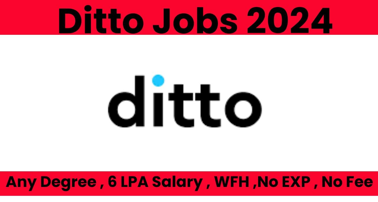 Ditto Jobs 2024