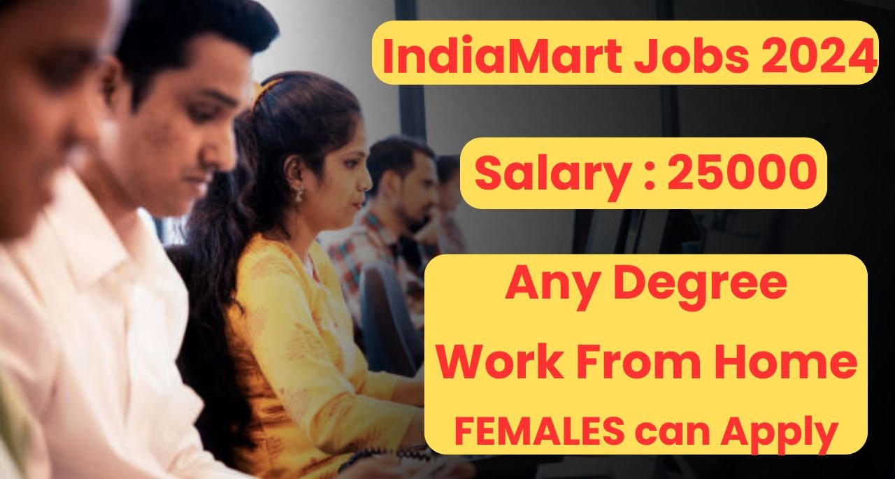 IndiaMart Jobs 2024