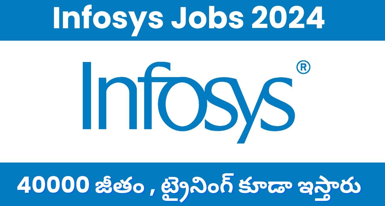 Infosys Jobs 2024