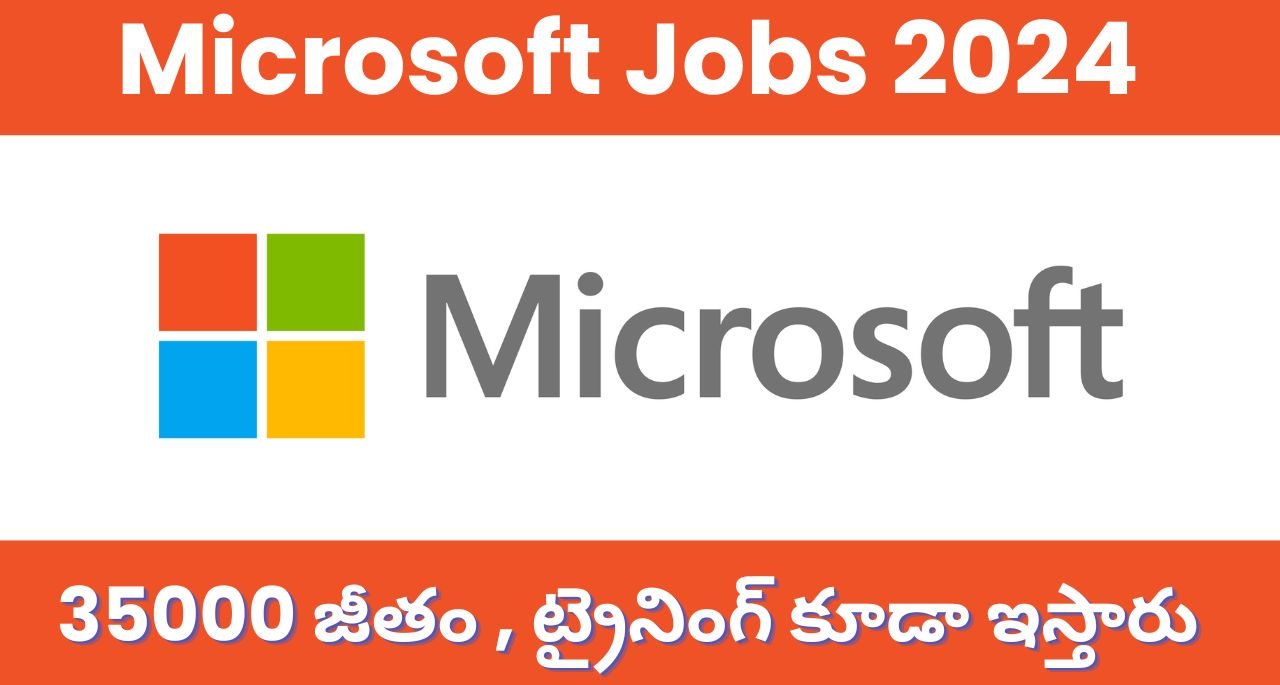 Microsoft Jobs 2024