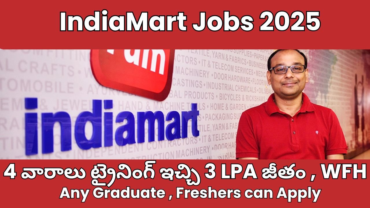 IndiaMart Jobs 2025