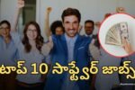 టాప్ 10 సాఫ్ట్వేర్ జాబ్స్