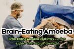 Brain-Eating Amoeba