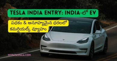 Tesla Model y India
